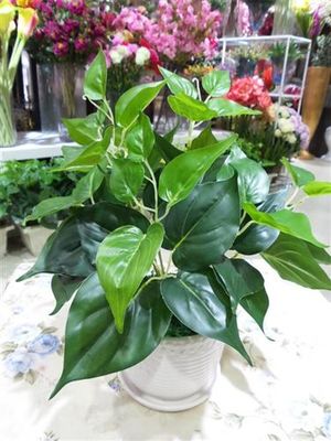 福州市臺江區(qū)心安花藝店 專業(yè)提供高仿真工程裝飾植物與草墻材料批發(fā)