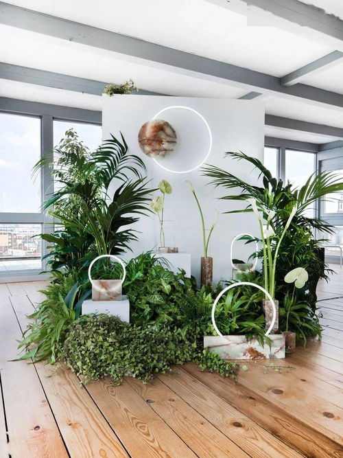 花藝工程中店鋪外包裝的必要性 美學、品牌與商業價值的融合