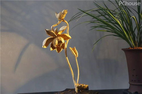 廣州看展靈感 精選軟裝與景觀工程，家居設計瞬間提升高級感